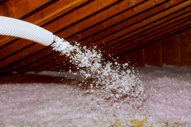Best Specialized Insulation Services in Northwest Ithaca, NY
