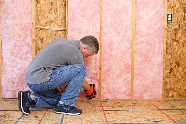 Best Fiberglass Insulation in Northwest Ithaca, NY